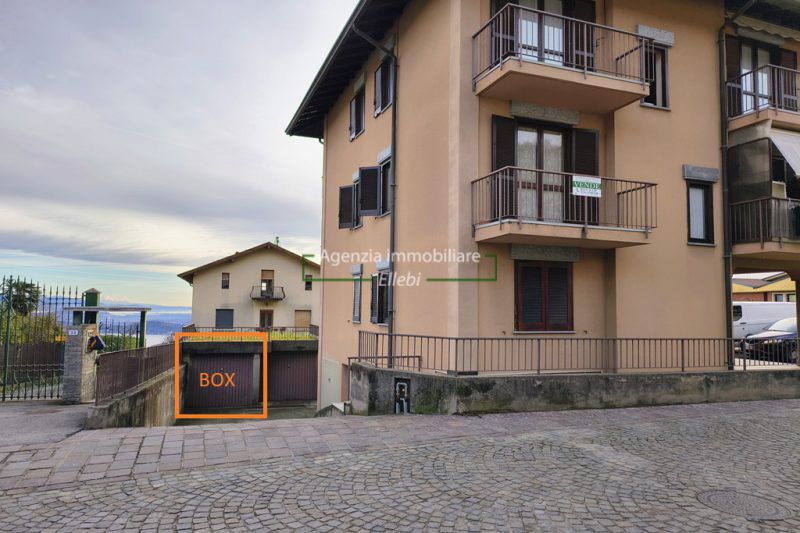 IMG_20260127_094617404_HDR_AE