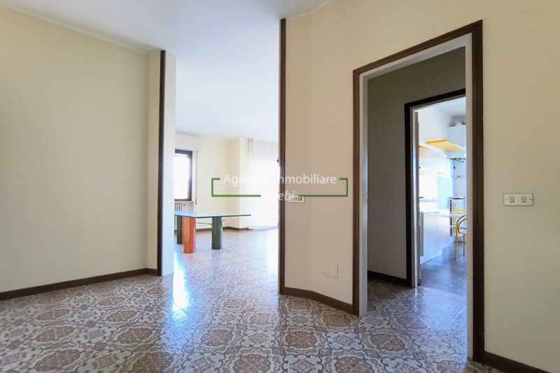 IMG_20260218_105308876_AE