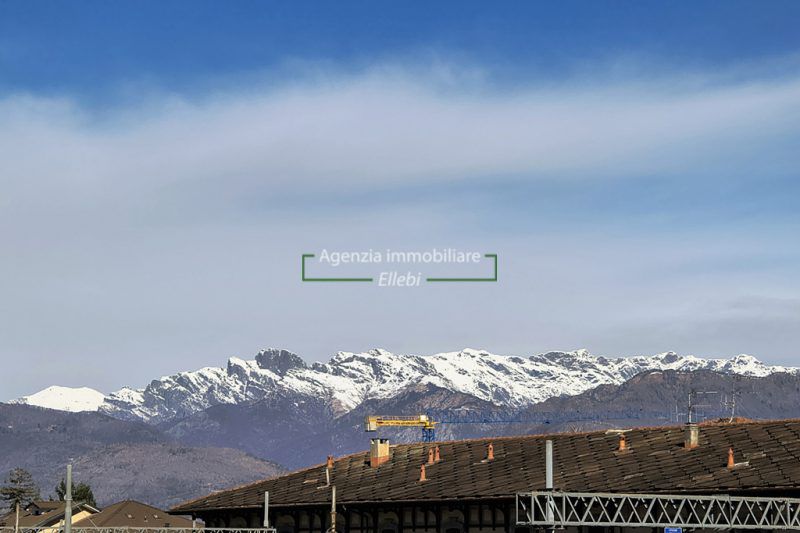 IMG_20260218_110155120_HDR_AE