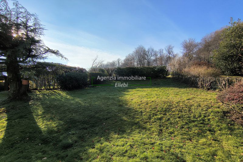 IMG_20251120_100726069_HDR