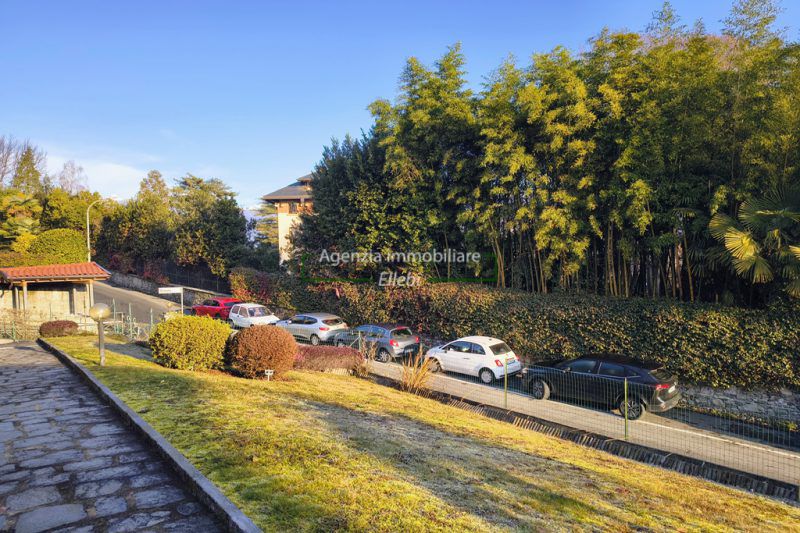 IMG_20260121_092745666_HDR_AE