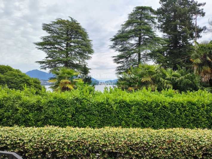IMG_20260604_114600592_HDR
